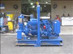 2017 Thompson 6JSVEEDIS4LE2TM Pump